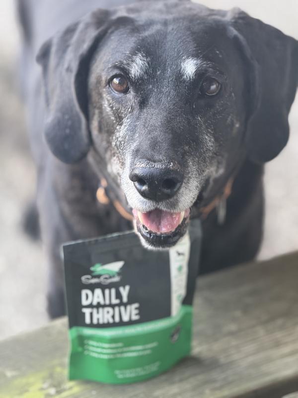 Thrive Microbiome & Wellness Support