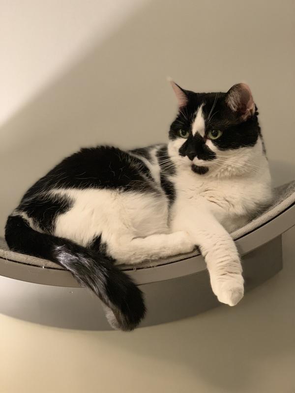 It has been awhile since I have seen this view.