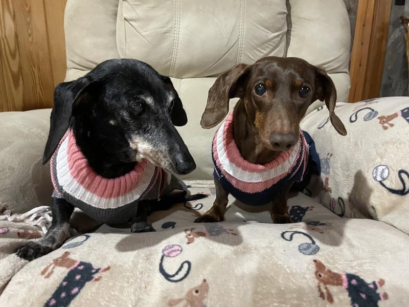 Showing off our new sweaters