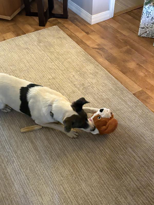 Ivy gives it a thumbs up!