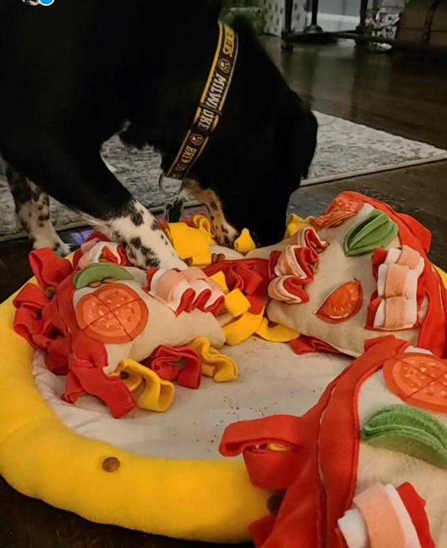 This Pizza-Themed Snuffle Mat For Dogs Is a Slice of Heaven · The