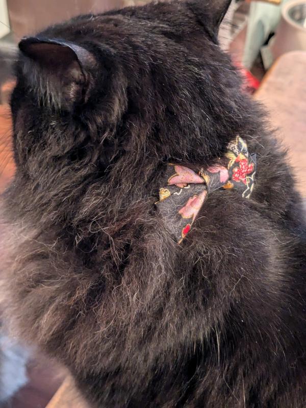 Poe tried it too..who wore it better?