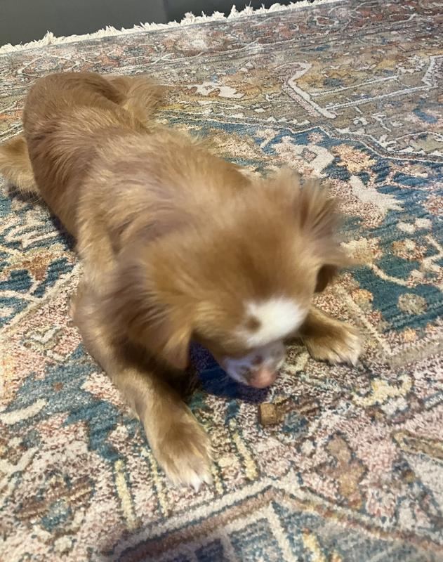 Ultimately, decided it wasn’t for him.