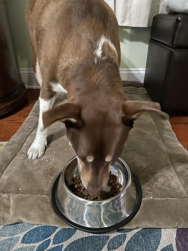 Both dogs enjoyed having it as a topper on a meal