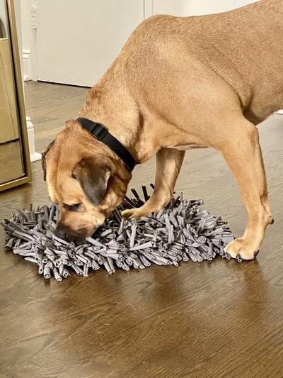 Paw5 Wooly Snuffle Mat in Grey