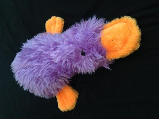 This is the duck that Callie and I ended up with, she love sit!