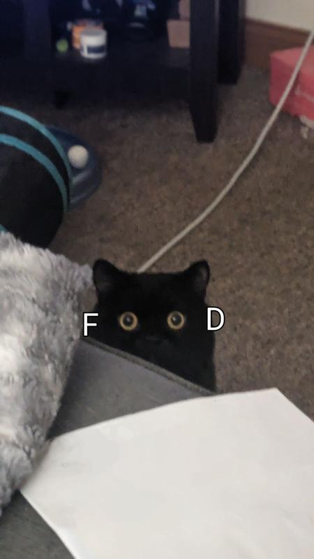 Jiji loves food