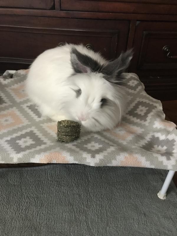 Marshmallow approved and recommended