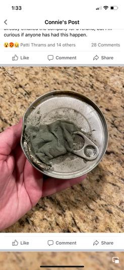 mold on top of dented can
