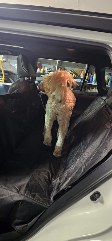 Testing it out. She was unsure at first.