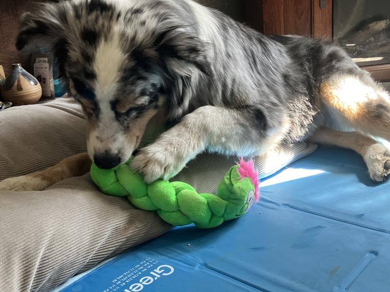 A satisfied customer