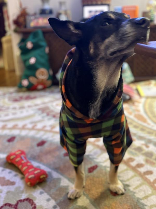 New Jammie’s and his fav toy!!