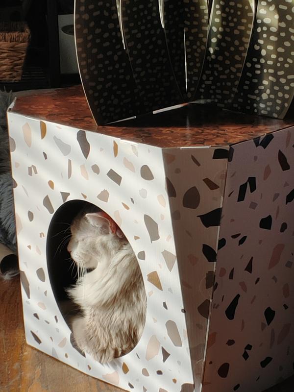 Harley enjoying the new cat house!