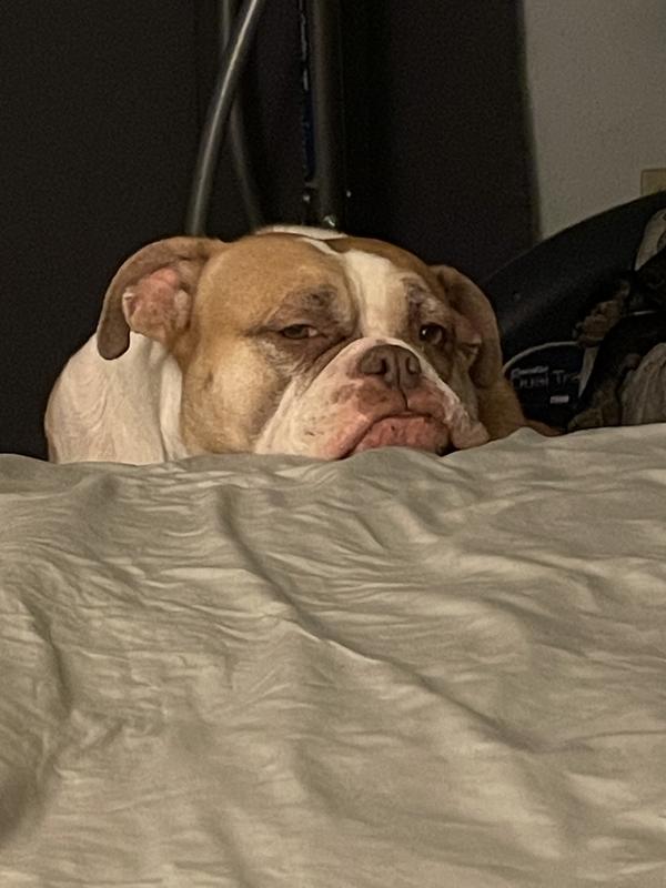 Resting after breakfast.