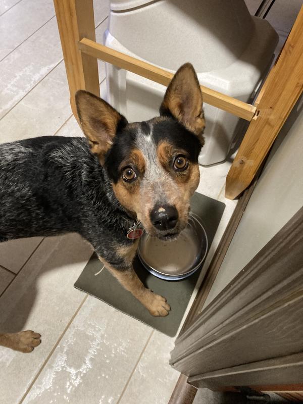 Just a little left on the nose!