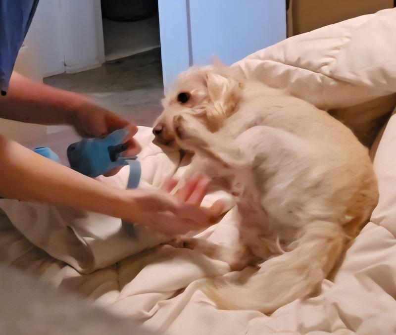 Ethel loves trying new clothes. A girl loves her shoes