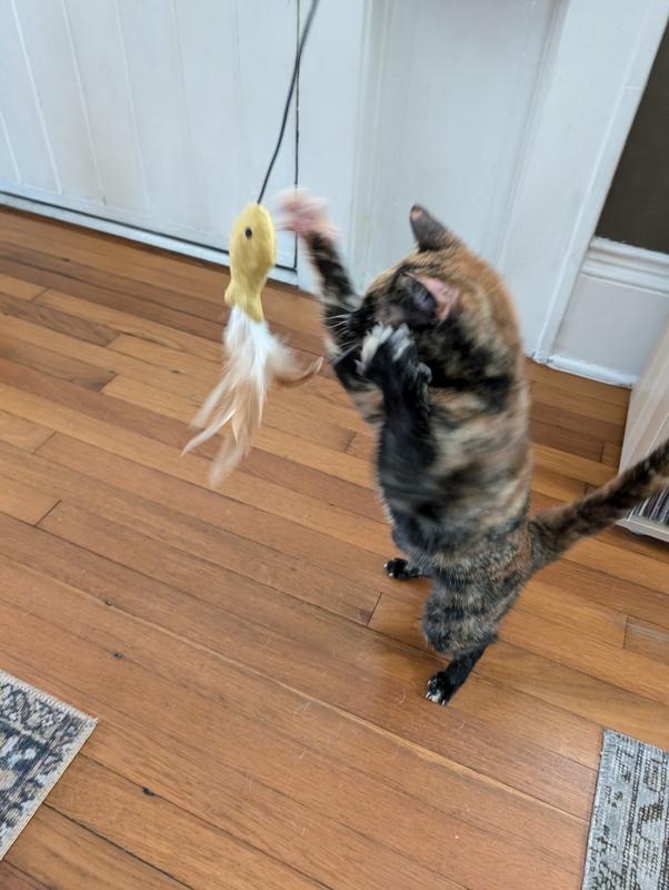 Frisco Sea Creatures Variety Pack Cat Toy with Catnip