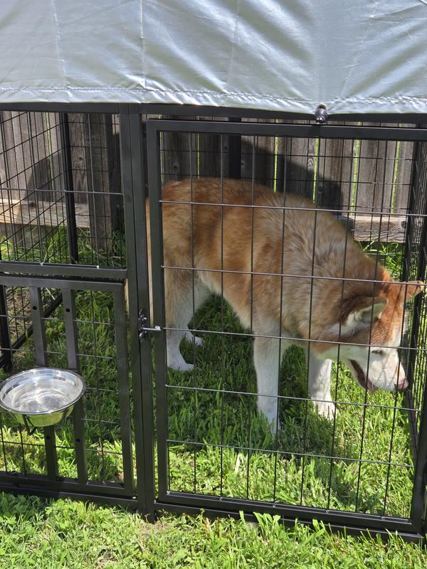 Way too small for my 47 pound husky.