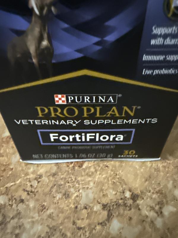 Forte flora is for the DOGS