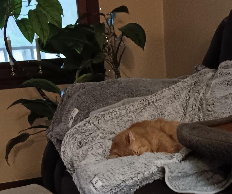 Sleeping Beauty