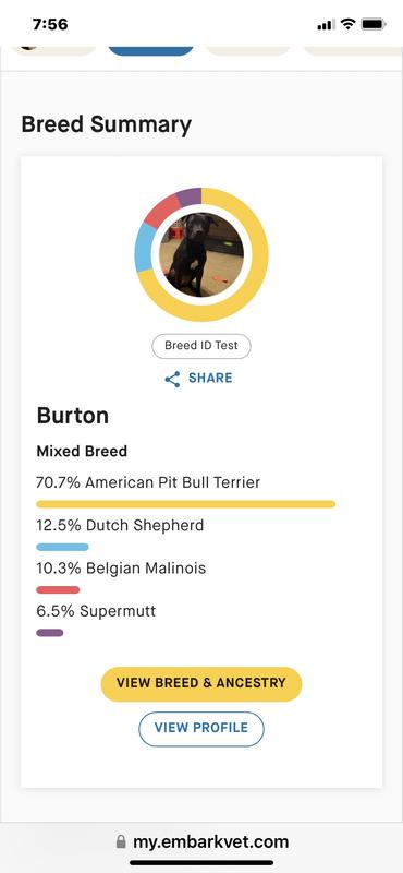 Burton’s DNA results