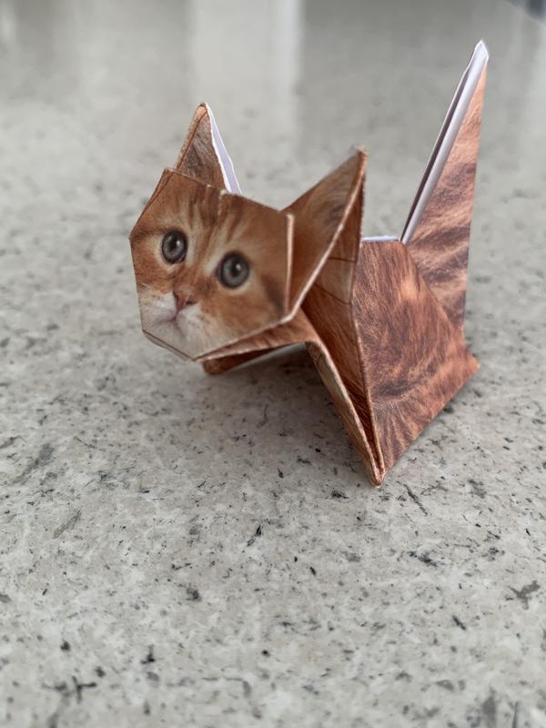 First one done! MEOW!