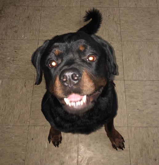 say, cheeeese!