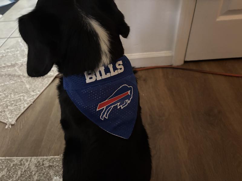 We spritz the bills logo n good to go