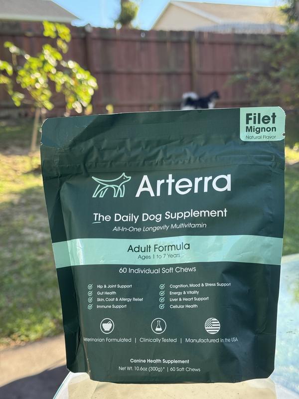Arterra filet mignon