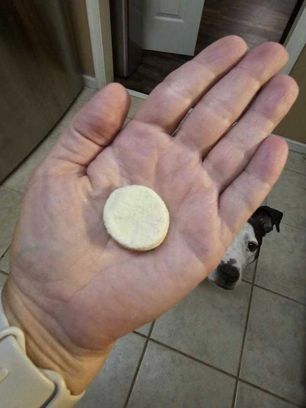 Photo to show size. Note Anna peering around to see what the hold up is. She's ready to chow down! :)