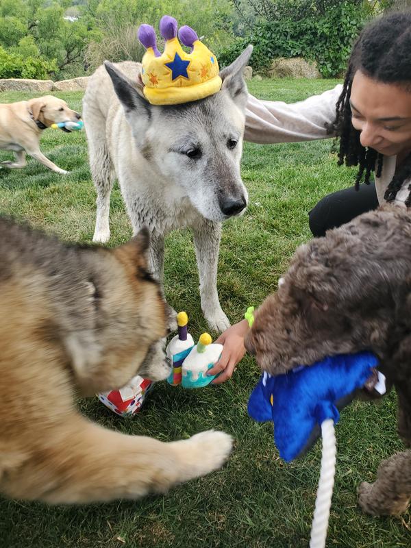 Duke and his friends celebrating 14 years of LOVE.