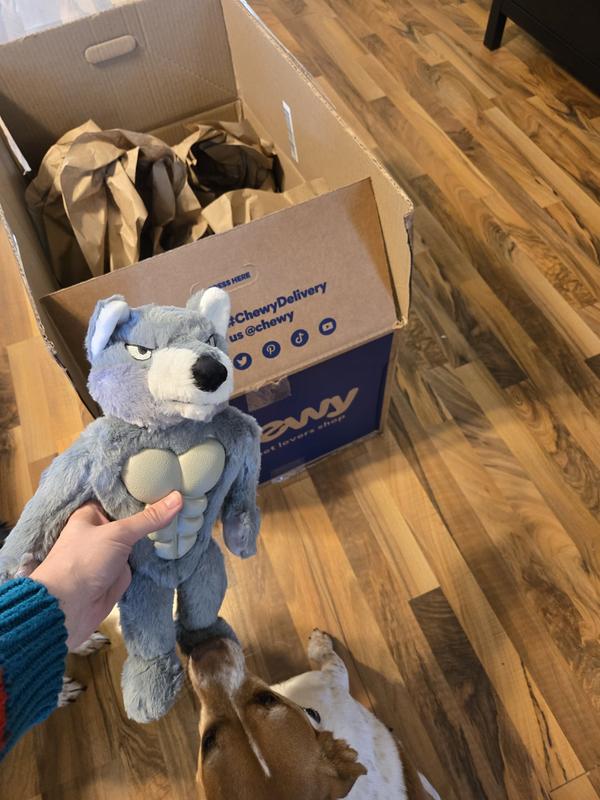 Immediately intrigued by his beefy new buddy