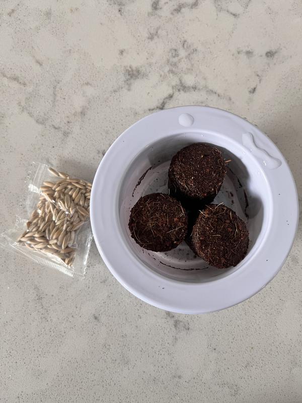 Included grass growing kit