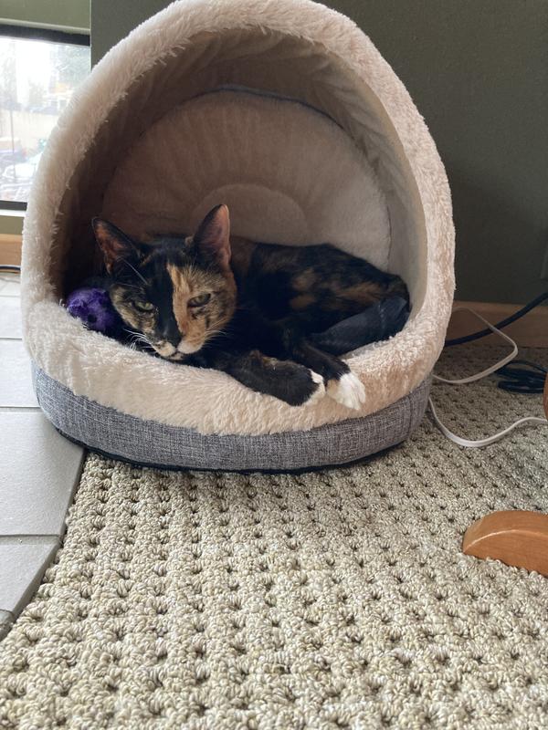 Lacey lives the life of Riley