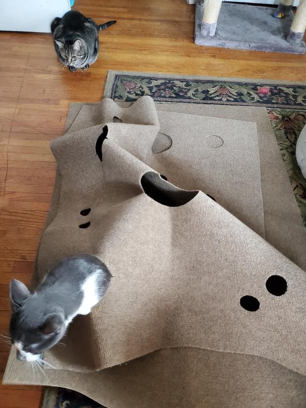 SNUGGLYCAT Ripple Rug Cat Activity Play Mat 