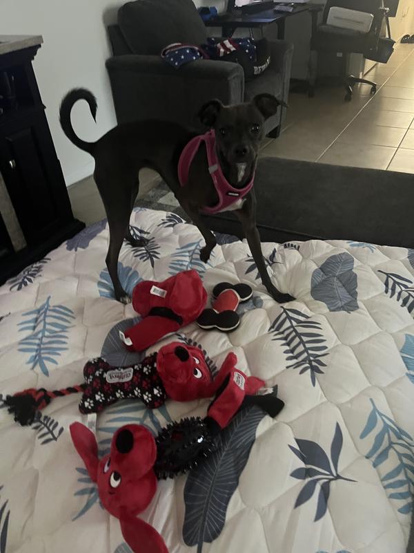 So many to choose from