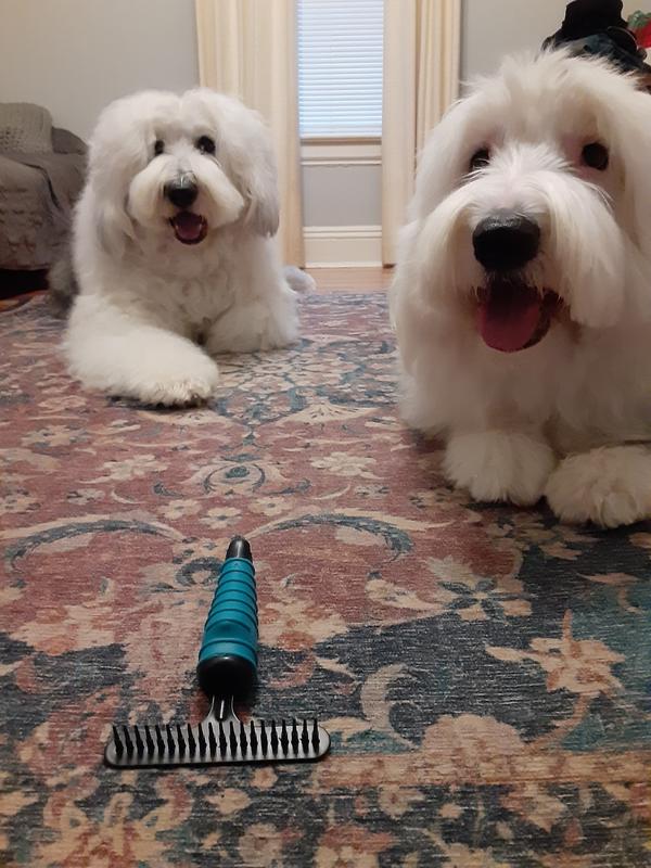 The boys love this brush!