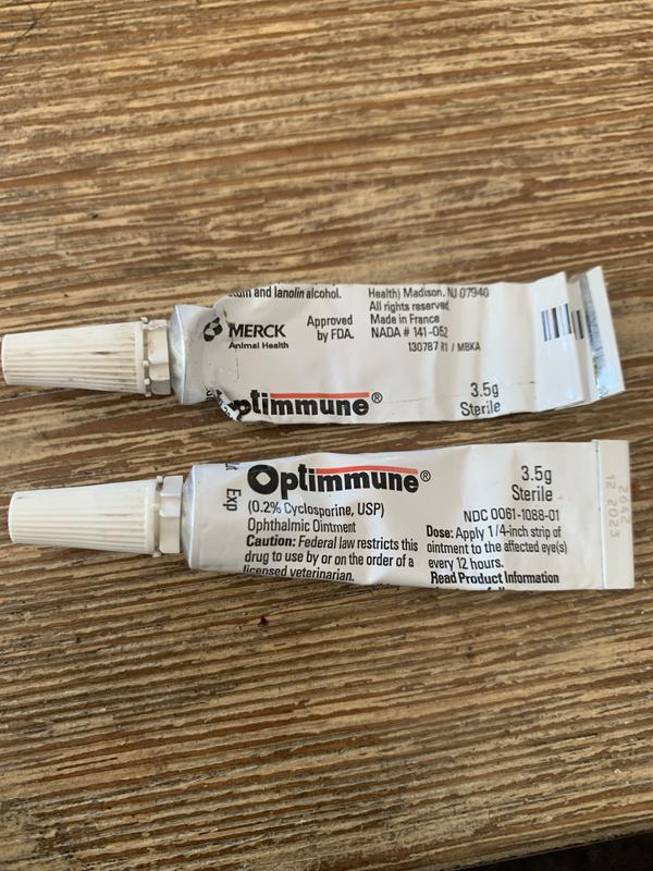 OPTIMMUNE 0.2 Cyclosporine Ophthalmic Ointment for Dogs 3.5 g Chewy