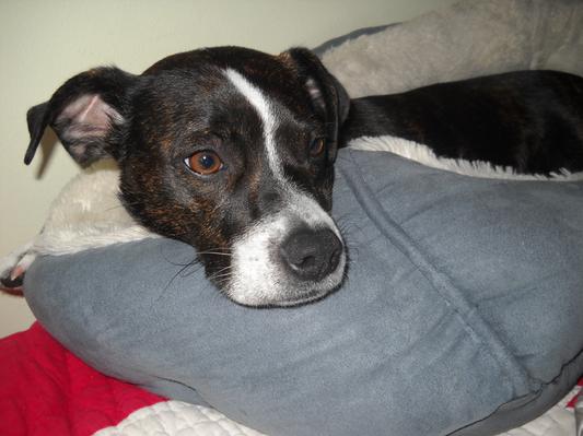 My Lola who is diabetic