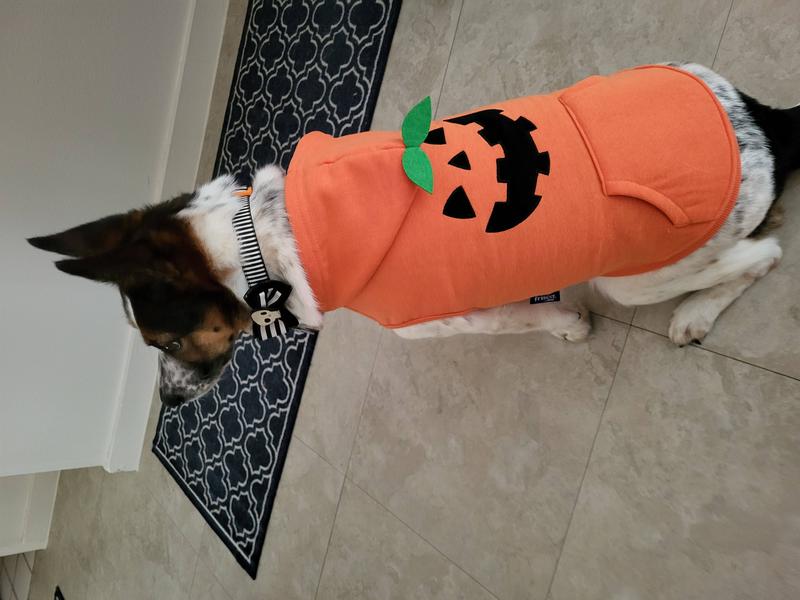 Little Pupkin Pumpkin & Dog Baby Burp Cloth