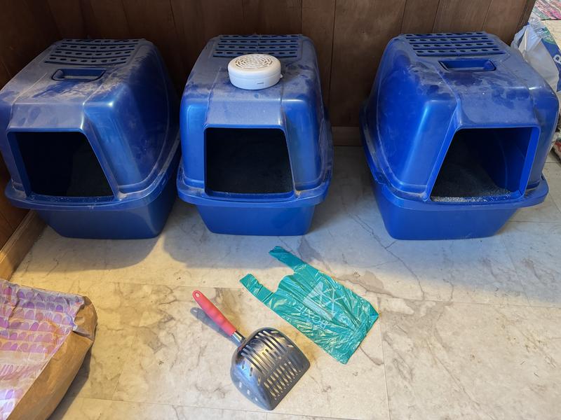 Bag with boxes and scoop