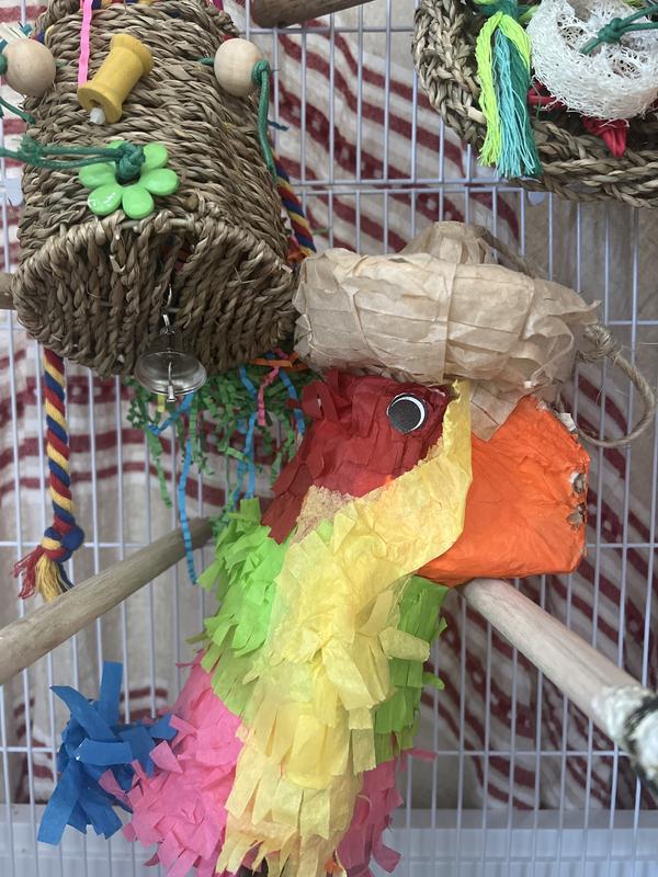 Piñata bird toy