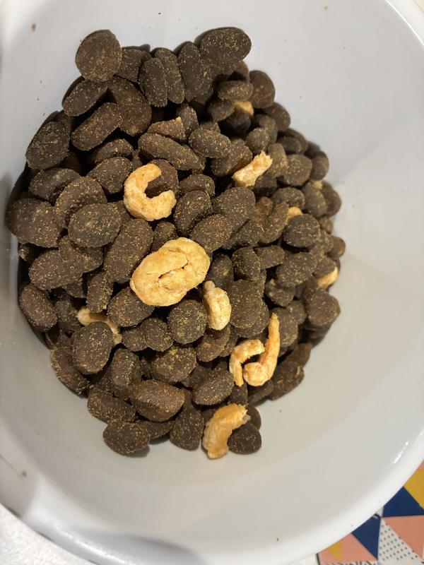 Kibble with the freeze dried shrimp