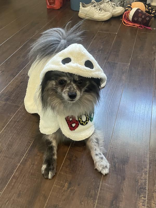 Spooky Pixie