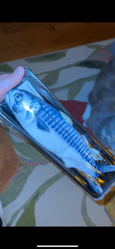 How it came packaged. Like a REAL fish from the supermarket!