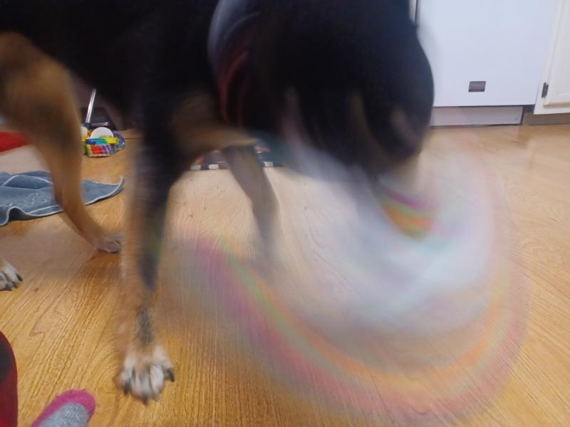 Soren shaking it as hard as he can.