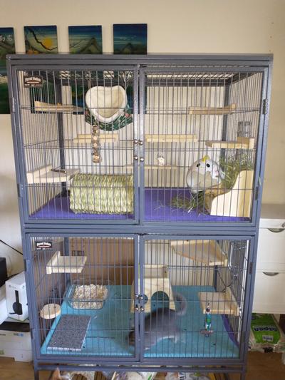 Deluxe ferret outlet cage