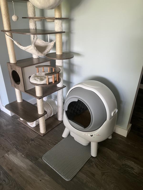 Looks decent in her little area