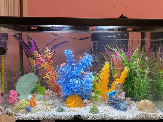 Mermaid fish tank sale