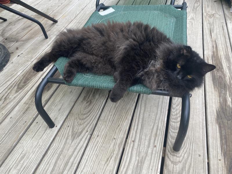 Norman ( named after the famous other mama’s boy, Norman Bates)